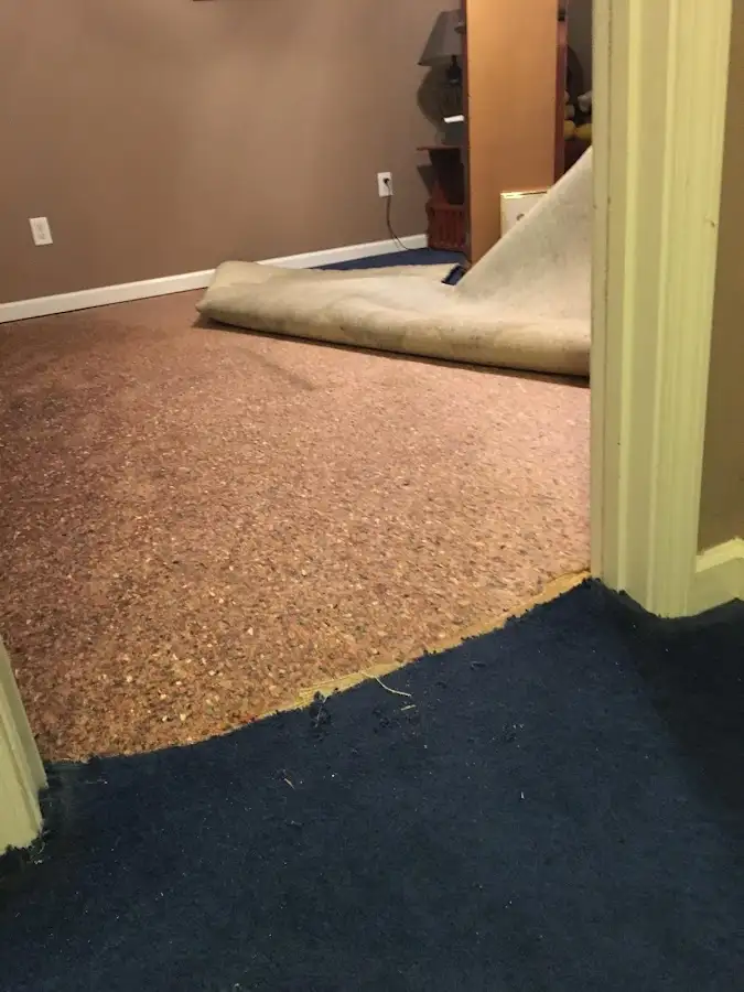 Carpet pad removal revealing water damage during Drying & Dehumidification in Carlstadt