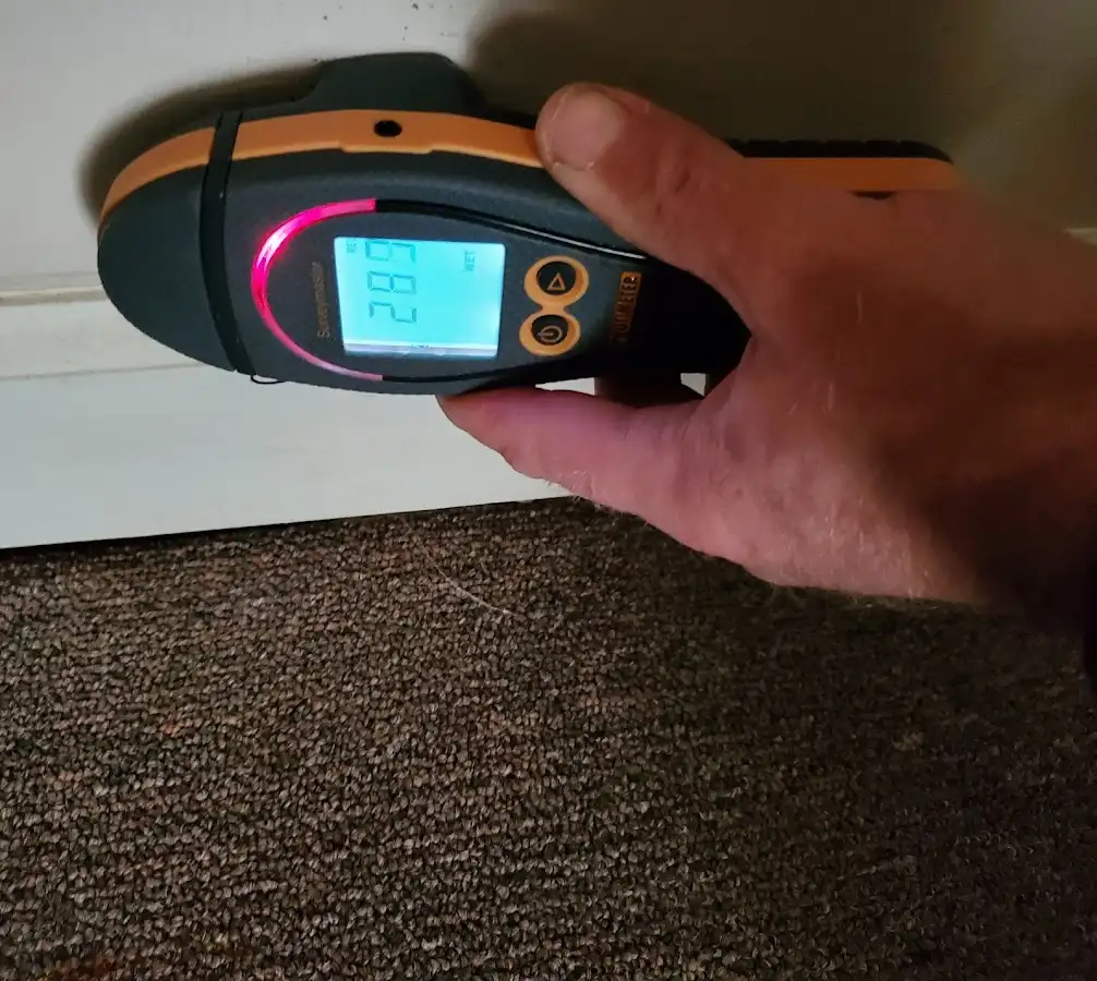 Moisture detection at baseboard during Sewage Cleanup & Sanitation in Carlstadt
